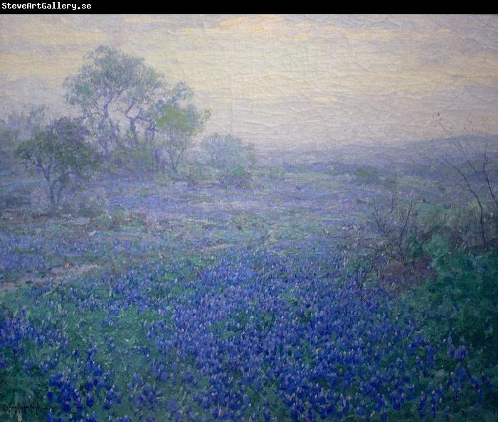 Julian Onderdonk Cloudy Day. Bluebonnets near San Antonio, Texas